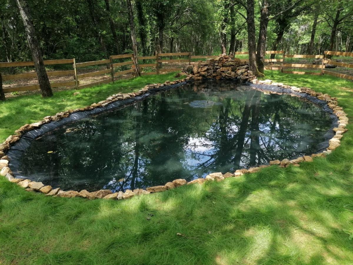 7-Gite-7 Personnes Au Coeur De La Nature /Piscine Saint-Aubin-de-Nabirat Exteriör bild